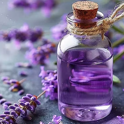 Lavender Essential Oil
